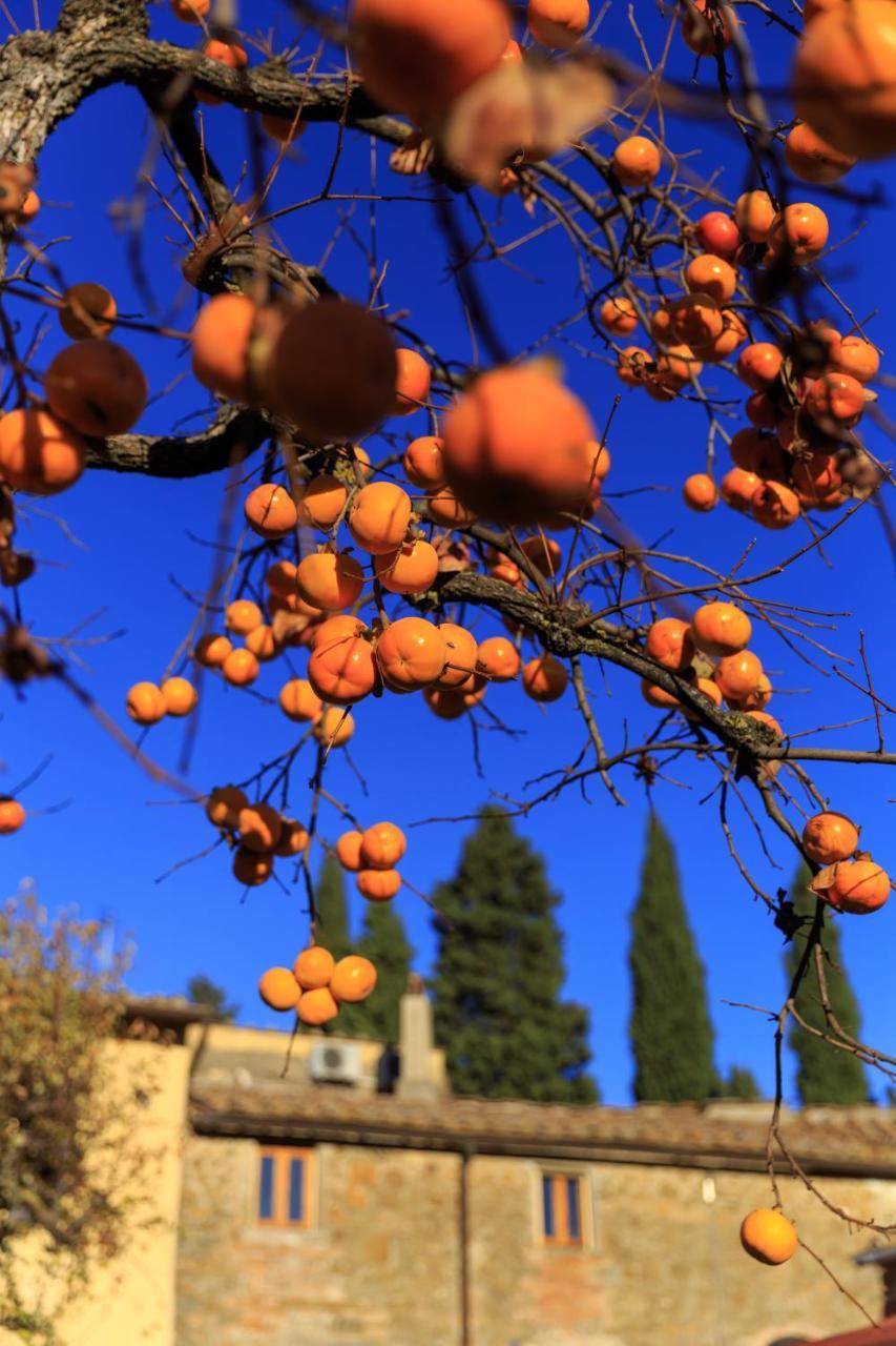 Agriturismo Fattoria Santo Stefano Greve in Chianti Exterior foto